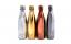 Бутылка для воды S'well Metallic Collection Бутылка для воды S'well Metallic Collection